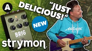 Strymon Brig - Can They Top the Cloudburst?