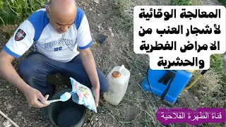 المعالجة الوقائية لأشجار العنب من الامراض الفطرية والحشرية / Preventive treatment of grapevines .