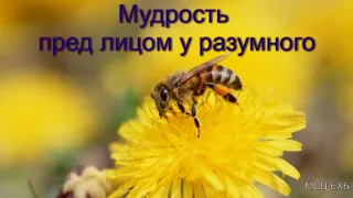 "Мудрость пред лицом у разумного". В. В. Харитонов. МСЦ ЕХБ.