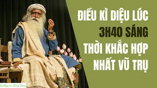 Bật Mí Điều Kì Diệu Xảy Ra Vào Lúc 3h40 Sáng | Sadhguru Lồng Tiếng #12