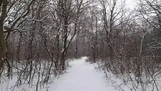 winter snow Moldova 4K