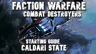 Eve online Faction Warfare Starter Destroyer Builds Part 1 of 2 (Caldari State) 2024
