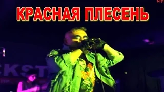 Красная Плесень - Мы е... первый раз (Санкт-Петербург 2013 г.)