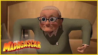 DreamWorks Madagascar en Español Latino | La abuela más fuerte | Madagascar: Algo Salvaje