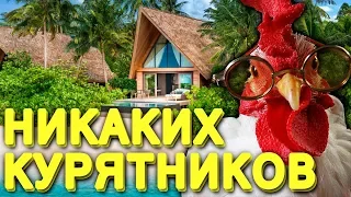 НИКАКИХ КУРЯТНИКОВ! ЛЕТНИЙ СПОСОБ СОДЕРЖАНИЯ КУР!