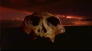 DC Searching for Lost Worlds | Skull Wars The Missing Link