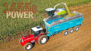 IH 1455 pot inox + 1056 à l’ensilage 🌽 | PURE SOUND 😍|