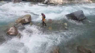 ASALA(HIMALAYAN TROUT)FISHING IN NEPAL | SMALL RIVER FISHING | FRESHWATER FISHING | CAST-NET FISHING