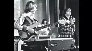 Hep Stars: "Sunny Girl" & "Whole Lot Of Shakin' Going On" (Sweden, 1966)