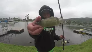 Big Bass Destroying Deps 175