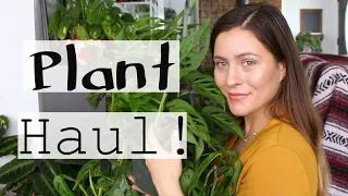 Houseplant Haul! | Indoor Plants I Purchased!