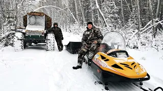 ВЫГОНЯЕМ КАРАКАТ ИЗ ЛЕСА. ЗАЕЗЖАЕМ В ТАЙГУ НА ПРОВЕРКУ КАПКАНОВ. .