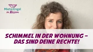 Schimmel in der Wohnung – Das sind deine Rechte!