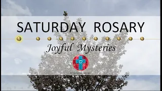 Saturday Rosary • Joyful Mysteries of the Rosary 💙 April 20, 2024 VIRTUAL ROSARY - MEDITATION