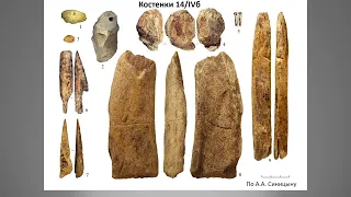 8. БЕССУДНОВ Александр Александрович "Структура раннего верхнего палеолита Костенок в свете..."