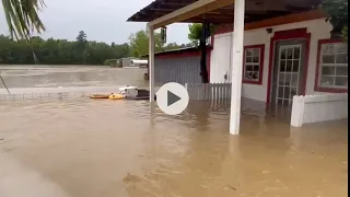 Animal Rescue under water.