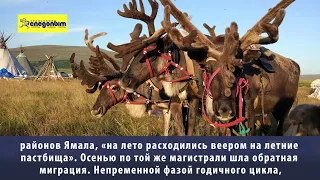 Каменные самоеды