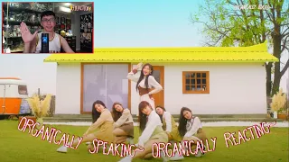 ILY:1 - 'Twinkle Twinkle' M/V | HQ 2023 Fresh (Organic Reaction)