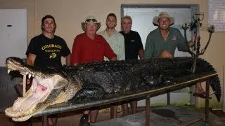 Alligator Hunting: "The biggest Gator I've ever seen"