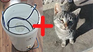 purring cat || cat purring sound || cat that purrs + sound of washing machine FRANIA || sleep sound