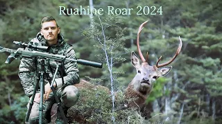 The Red Stag Rut/Roar 2024- Ruahine Range