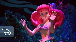 Dive Below the Surface and Be Part of Ariel’s World!