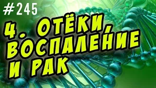 отёки и ожирение, инсулинорезистентность и диабет, рак и хроническое воспаление