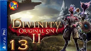 Let's Play Divinity: Original Sin 2 II | PS4 Pro Co-op Gameplay Part 13 | Battling Windego (P+J)