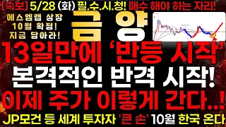 [금양] 5/28 (화) 13일만에 '반등 시작!' 본격적인 반격 시작 이제 주가 이렇게 간다..! "매수 해라!"