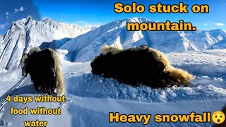 Solo Yak stuck on mountain bcoz of heavy snowfall😯 #snow