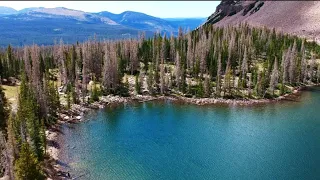 Best Fly Fishing in Uinta Mountains