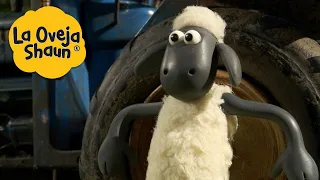 La Oveja Shaun 🐑 Shaun huyendo 🐑 Dibujos animados para niños