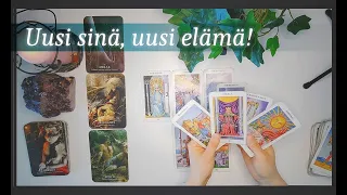 Tarot - Paussilla on tarkoituksensa! Uusia ovia aukeamassa koettelemusten jälkeen! 🌱