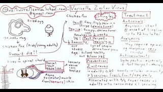 Shingles and Chicken Pox: Varicella Zoster Virus - One Minute Medical School