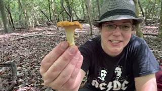 Southeastern US Chanterelles (kinda) explained: Variances + traits of common Cantharellus species
