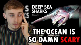 Reacting to Why Sharks get Creepier the Deeper you Go