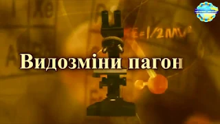 5 Видозміни пагонів