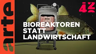 Können wir ohne Landwirtschaft leben? | 42- Die Antwort auf fast alles | ARTE