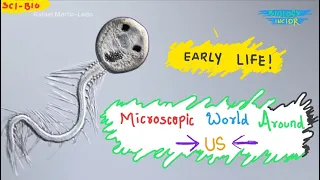 Amazing Footage ! MicroScopic World Around Us ! MicroBiology !