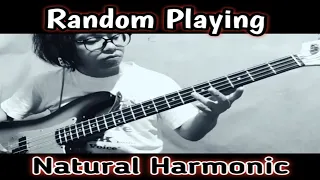 Random Playing Natural Harmonic On Bass Guitar | #shorts Video 9@NepaliBassGuitarLesson