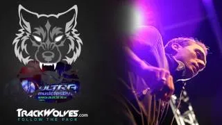 Paul van Dyk - Live @ Ultra Music Festival (Miami) - 30.03.2014