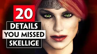 20 Details You Probably Missed in Skellige | THE WITCHER 3