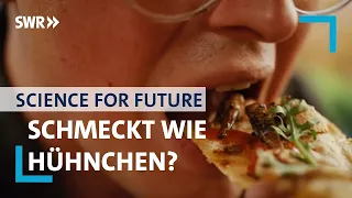 Algen & Insekten: unser Essen in der Zukunft? | Science for Future mit Jacob Beautemps | SWR Wissen