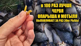 Хитрая рыболовная насадка! На неё клюёт круглый год вся рыба! Новая убийца всей рыбы 2023!