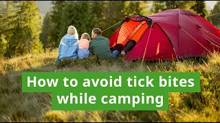 How to  Prevent Ticks While Camping