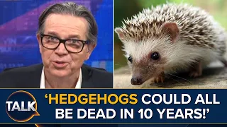 "Hedgehogs Could Be Wiped Out In 10 Years" | Kevin O'Sullivan FURIOUS