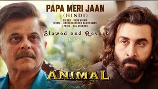 ANIMAL: Papa Meri Jaan (Slowed and Reverb) Ranbir Kapoor | Anil K,Rashmika M |Sandeep V | Sonu Nigam