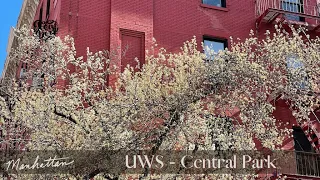 [4K]🇺🇸 NYC Walk: Upper West Side via Columbus Avenue and Central Park🌳 March 2022 ⎥Rose in New York