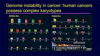 Evolution of Genome Instability in Cancer with Don Cleveland - Sanford Stem Cell Symposium