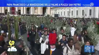 Papa Francesco: la benedizione delle Palme a Piazza San Pietro